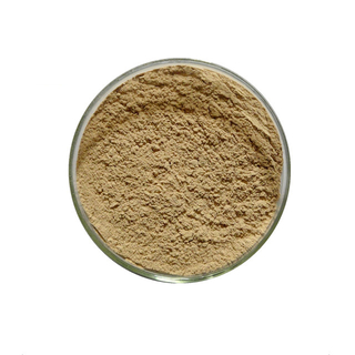 Litchi chinensis Extract