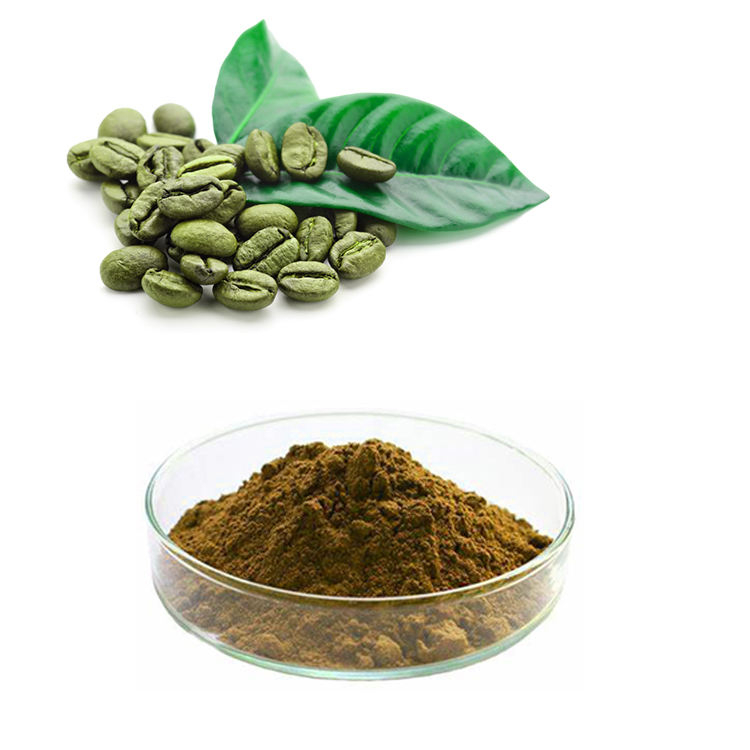 Green Coffee Bean Extract Green Coffee Bean Extract Supplier and
